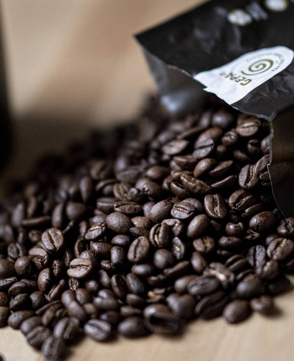 Guten Kaffee gibt es nicht überall. Doch woran erkennt man eigentlich guten Kaffee? Auf dem Symbolfoto (aufgenommen am 24. September 2021) liegen Kaffeebohnen neben einer Tasse auf einem Tisch.