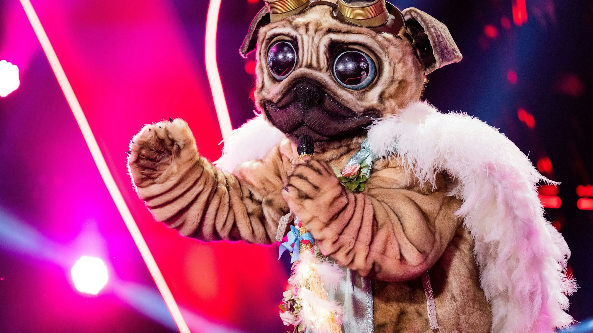 Der Mops steht in der „ProSieben“-Show „The Masked Singer“ im Oktober 2021 auf der Bühne.