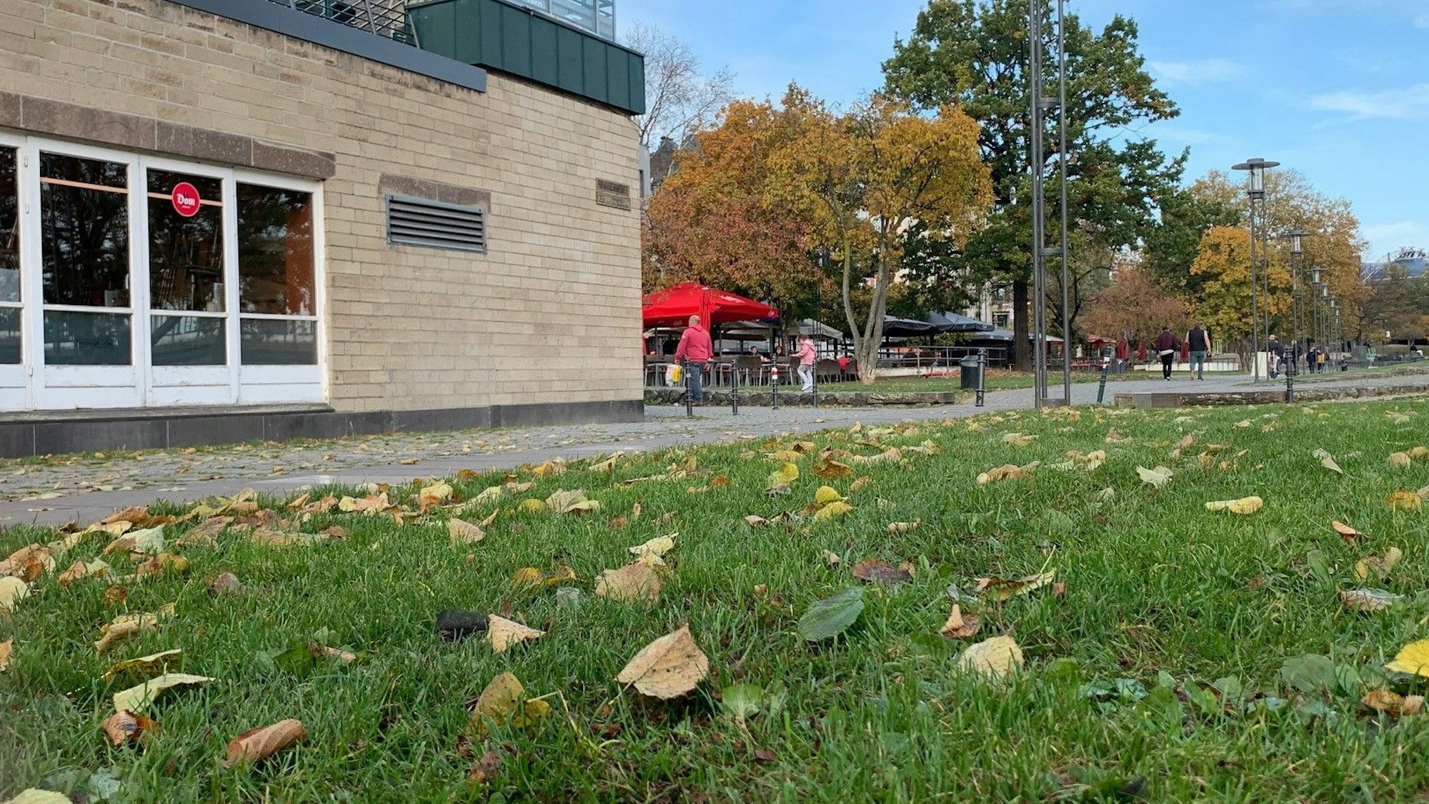 Rasen Rheingarten-Wiese vor Dom im Stapelhaus