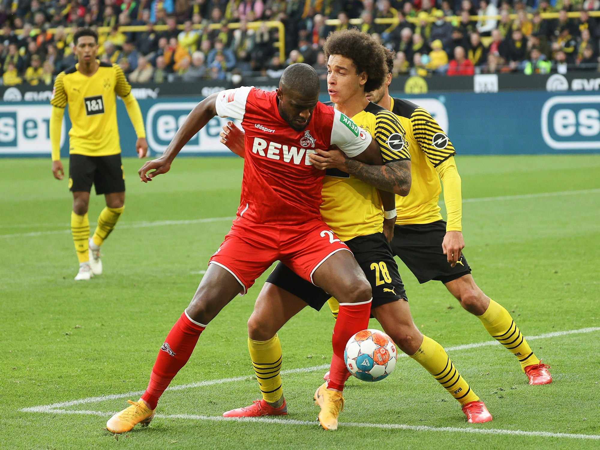 Axel Witsel und Anthony Modeste im Zweikampf