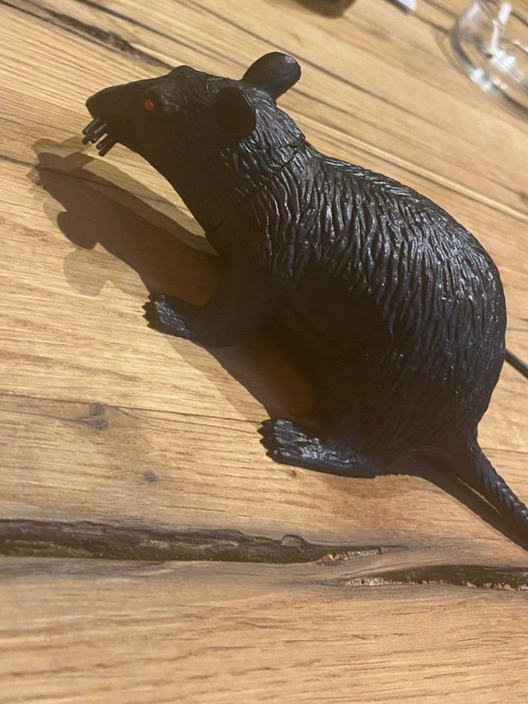 Anthony Modeste überrascht Kreso Ban mit einer Ratte.