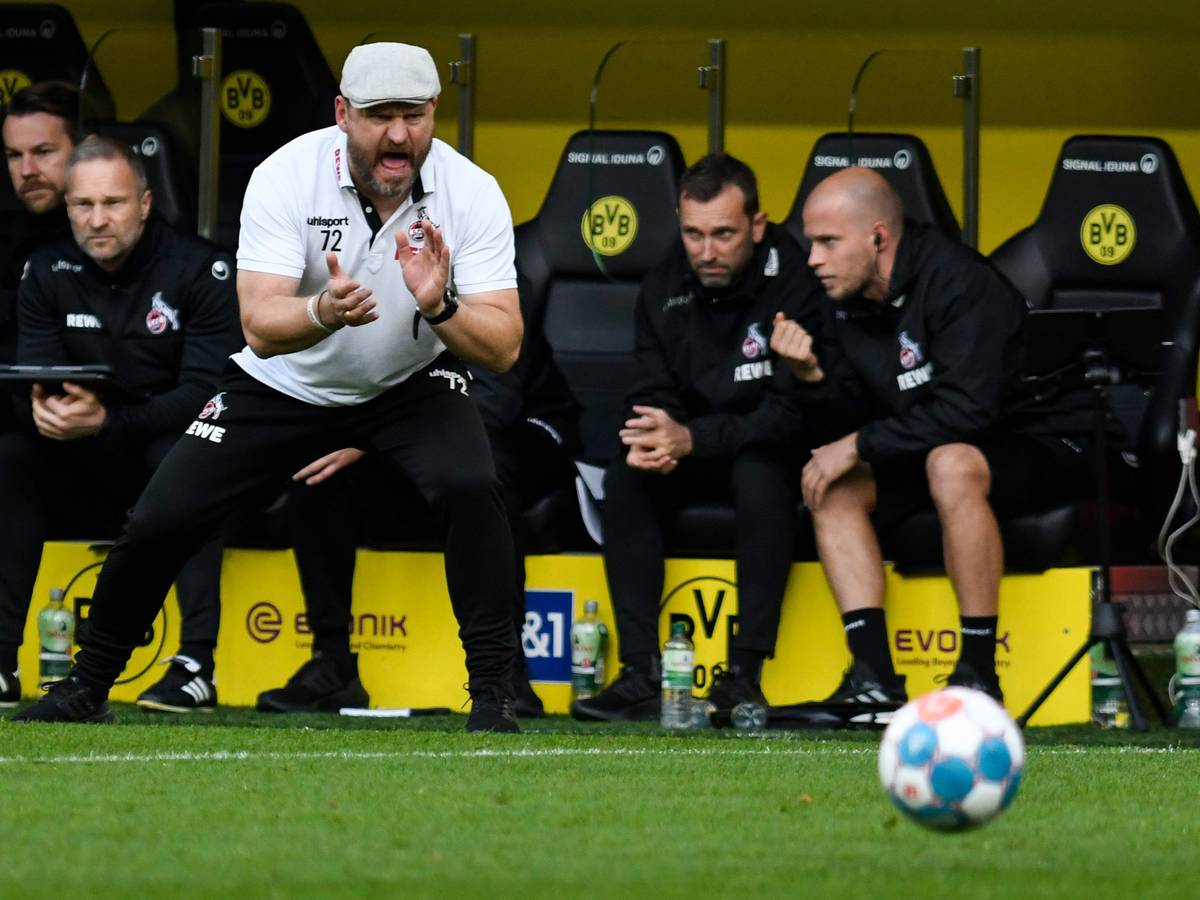 Steffen Baumgart brüllt den 1. FC Köln beim BVB nach vorne.