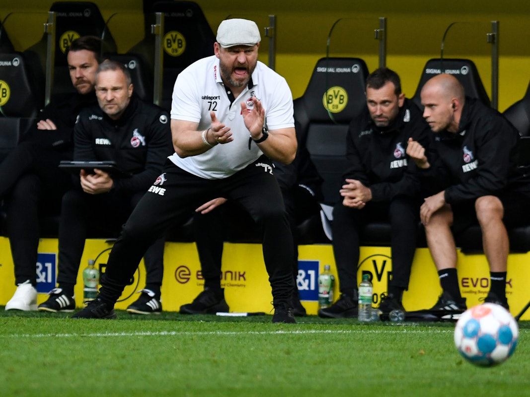 Steffen Baumgart brüllt den 1. FC Köln beim BVB nach vorne.