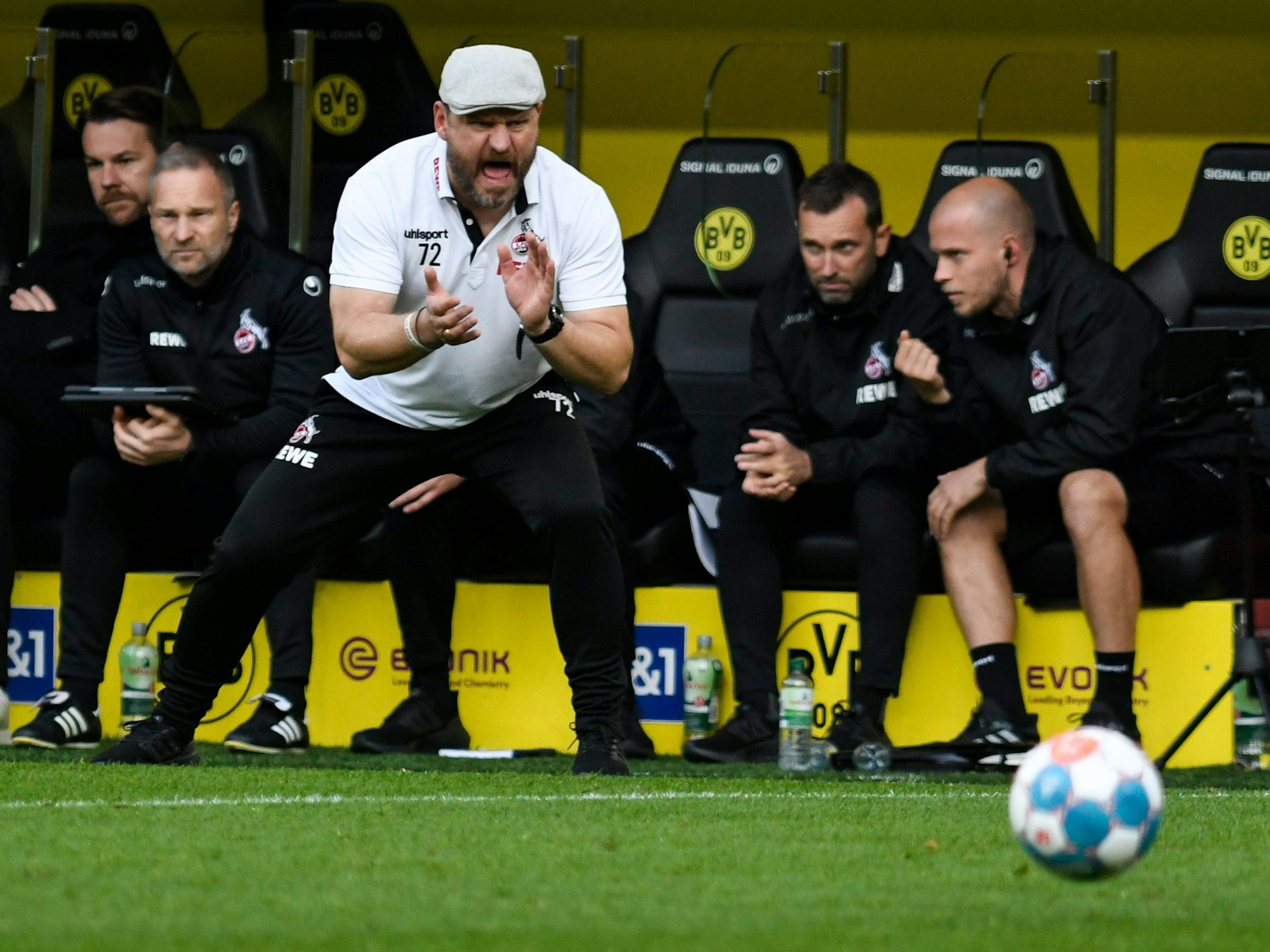 Steffen Baumgart brüllt den 1. FC Köln beim BVB nach vorne.