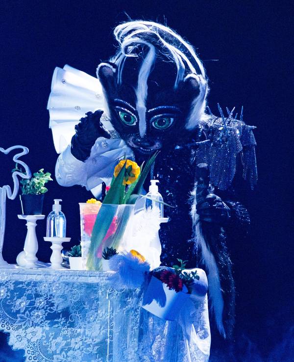 Das Stinktier bei seinem Auftritt am Sonntag (31. Oktober) bei „The Masked Singer“: Am Ende steckte eine wahre Schlager-Legende in dem Kostüm.