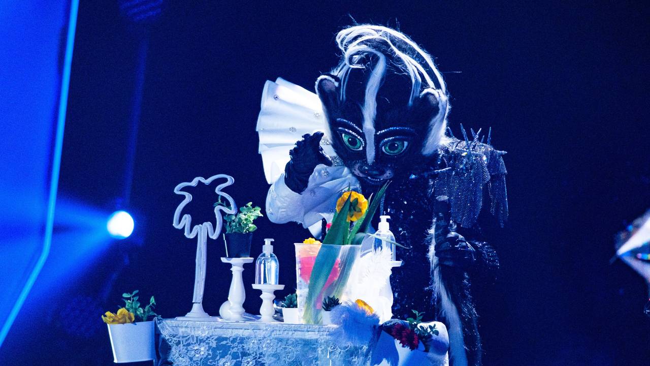 Das Stinktier bei seinem Auftritt am Sonntag (31. Oktober) bei „The Masked Singer“: Am Ende steckte eine wahre Schlager-Legende in dem Kostüm.