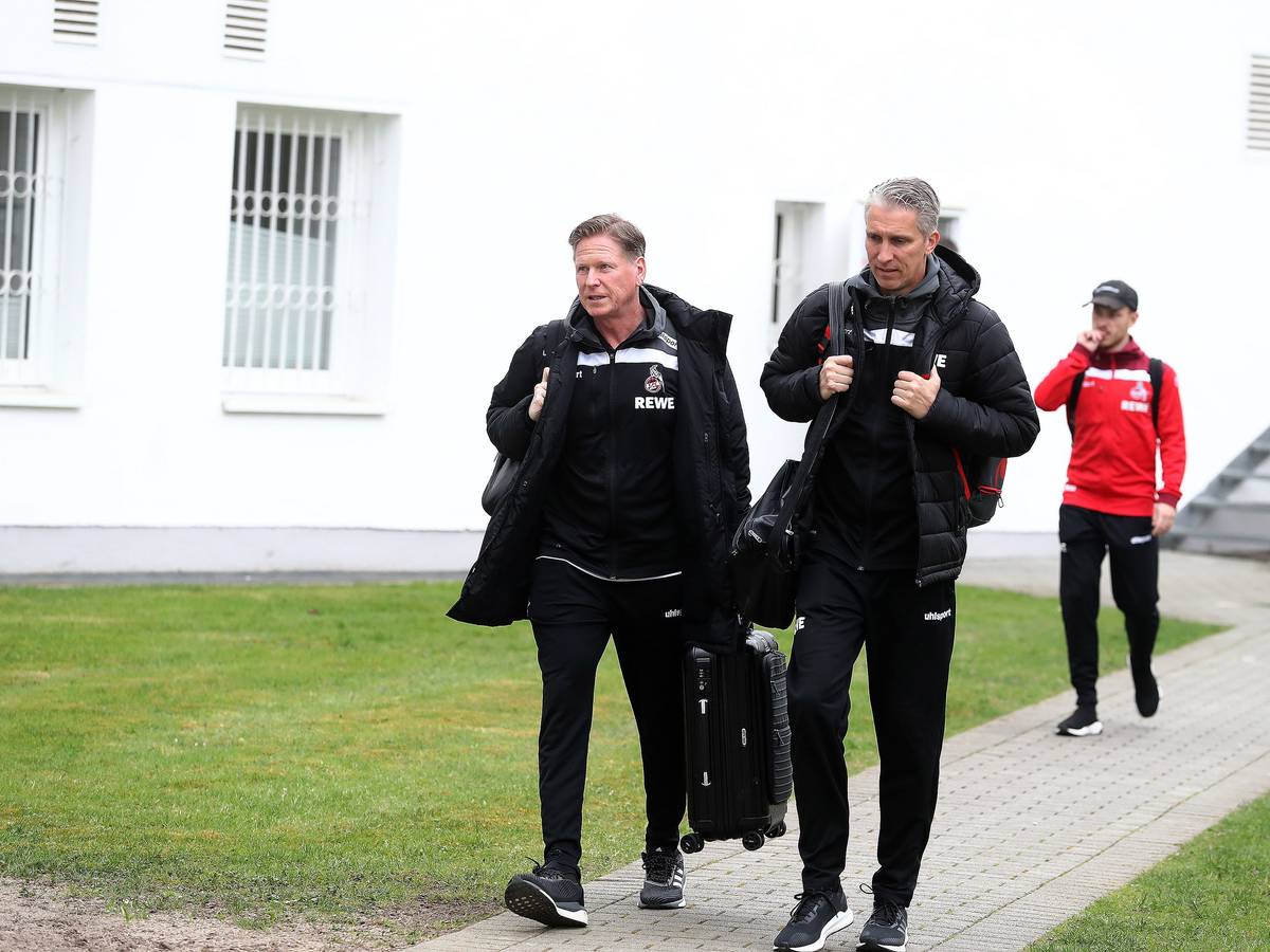 Markus Gisdol und Frank Kaspari trainieren den 1. FC Köln.