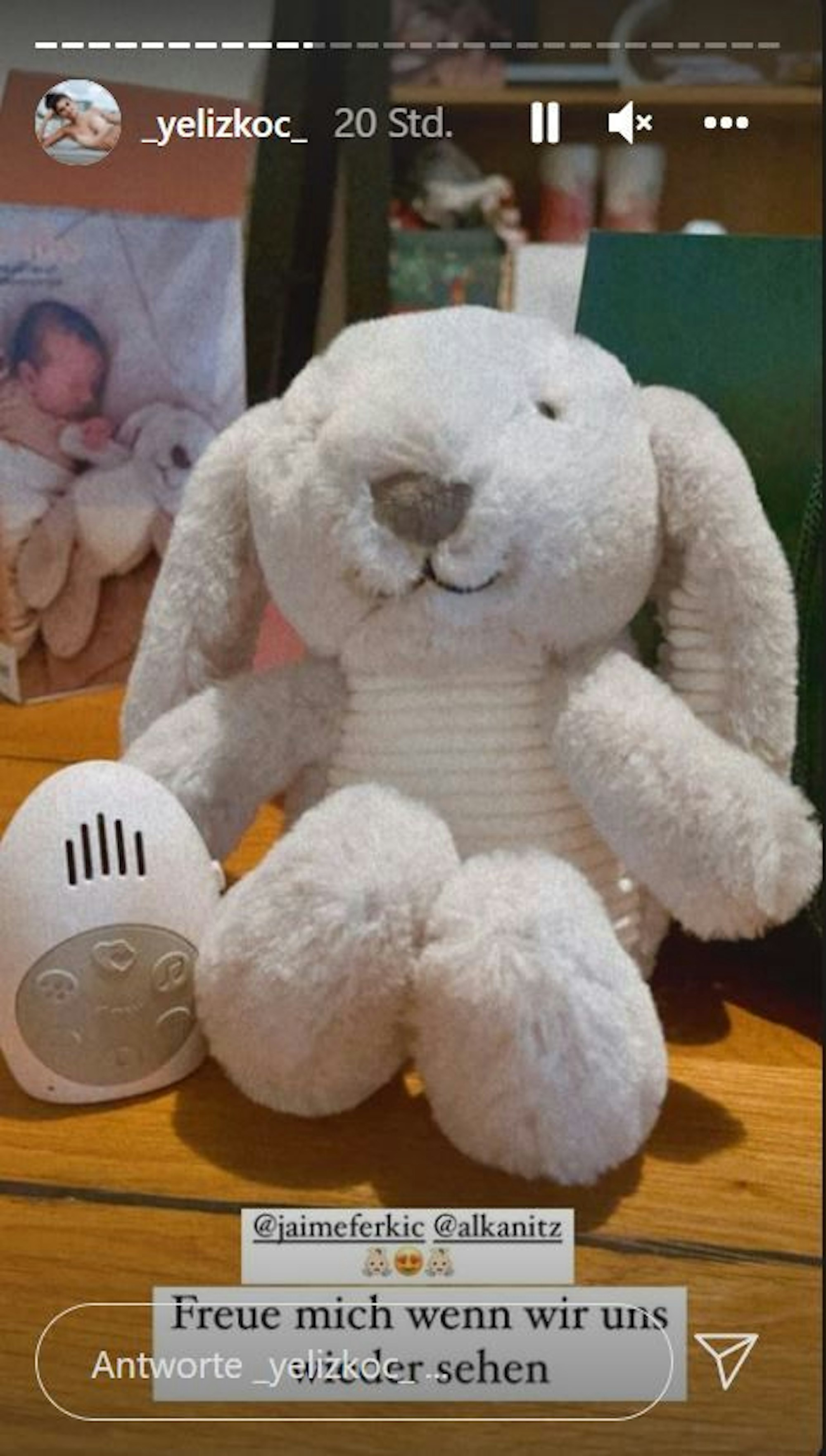 Ein Foto eines Kuscheltiers, das Yeliz Koc am 3. November auf Instagram postete, verunsicherte ihre Fans.