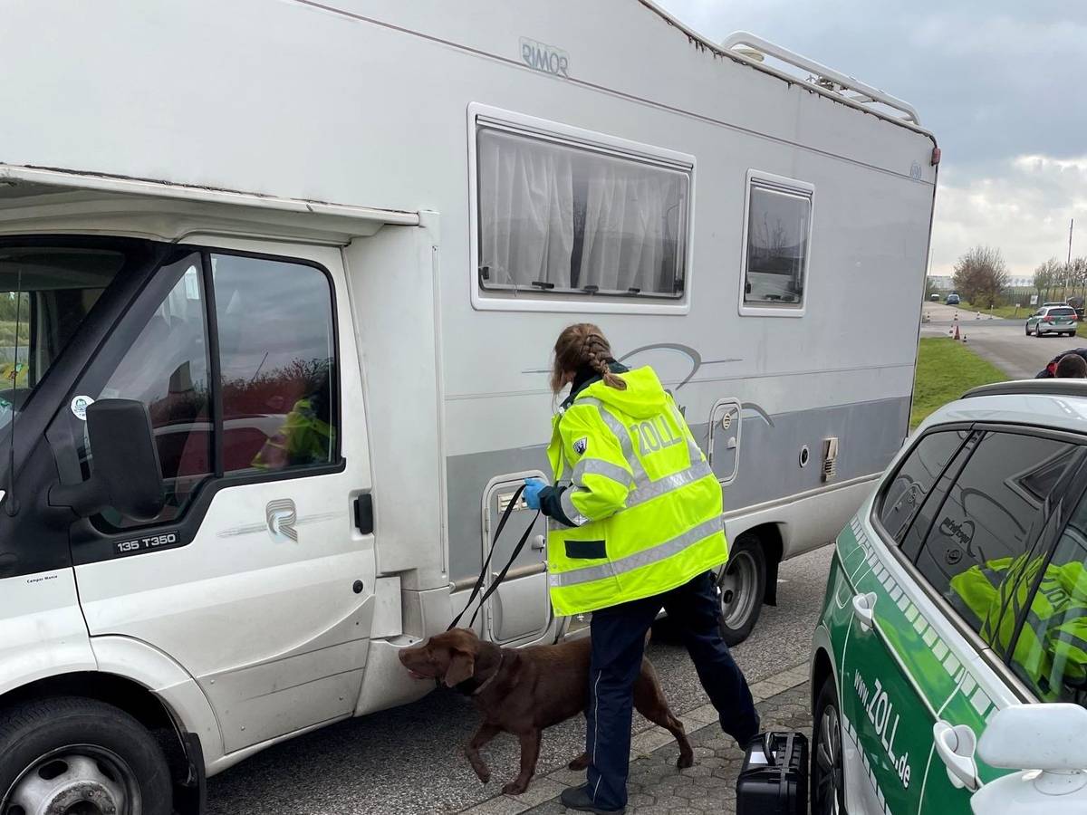 Ein Drogenspürhund schnuppert an einem Wohnmobil.