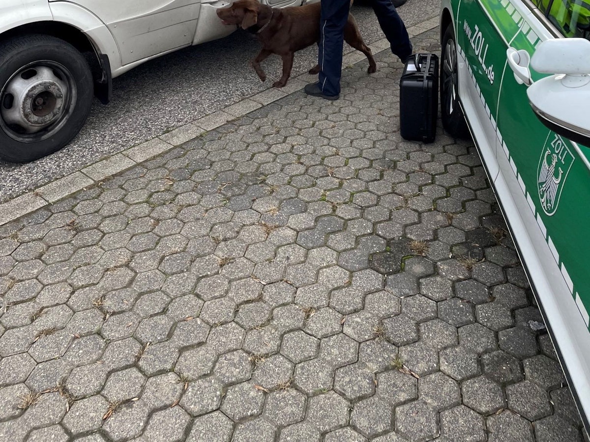 Ein Drogenspürhund schnuppert an einem Wohnmobil.
