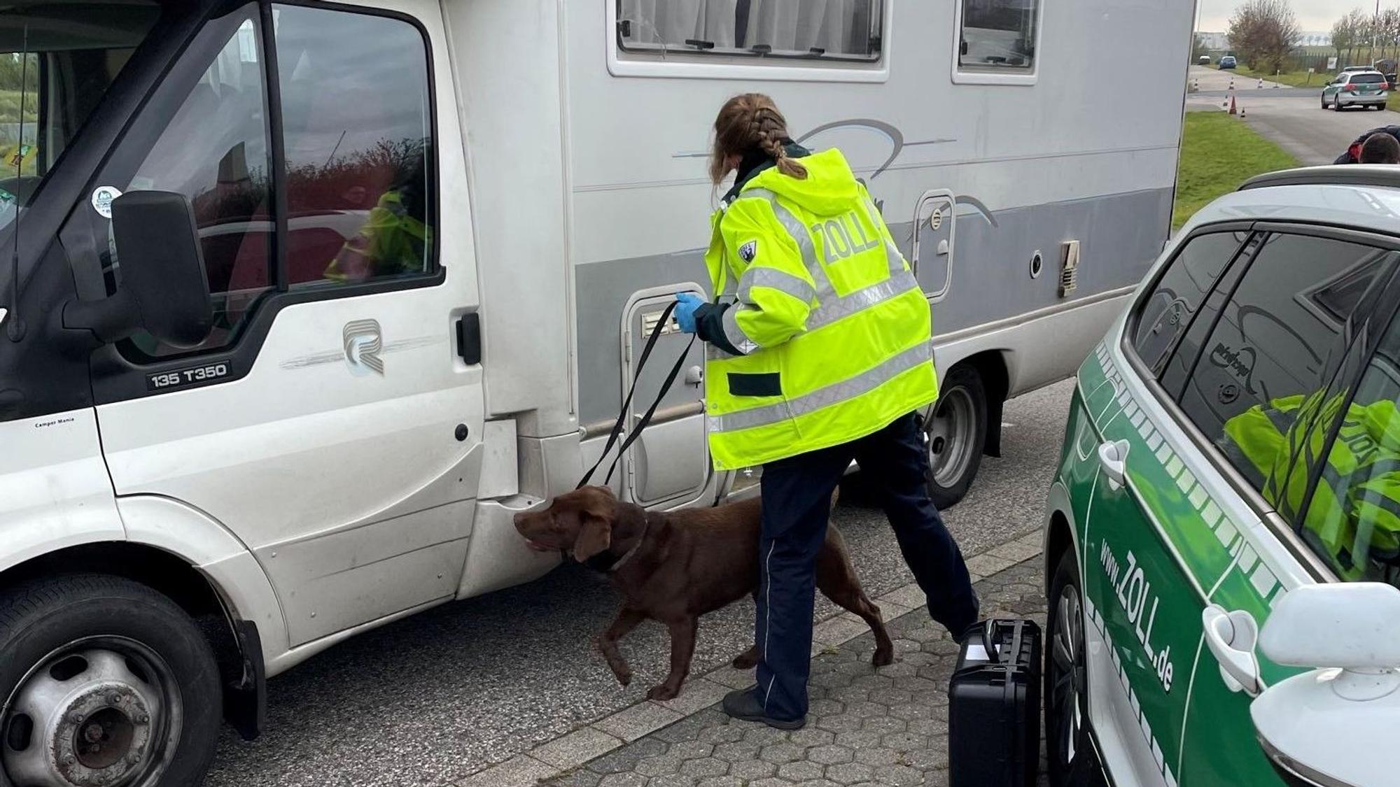 Ein Drogenspürhund schnuppert an einem Wohnmobil.
