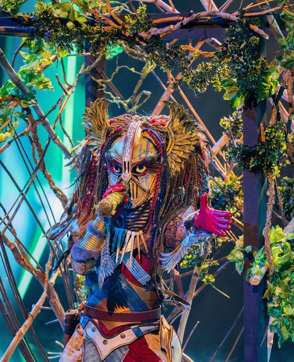 Die Heldin steht in der „ProSieben“-Show „The Masked Singer“ auf der Bühne.