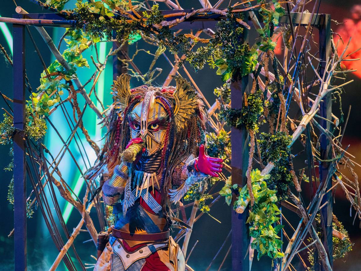 Die Heldin steht in der „ProSieben“-Show „The Masked Singer“ auf der Bühne.