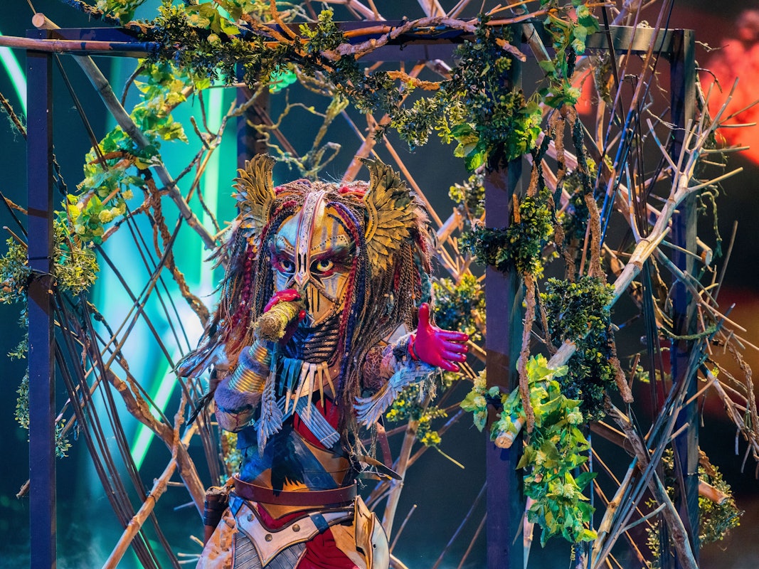 Die Heldin steht in der „ProSieben“-Show „The Masked Singer“ auf der Bühne.