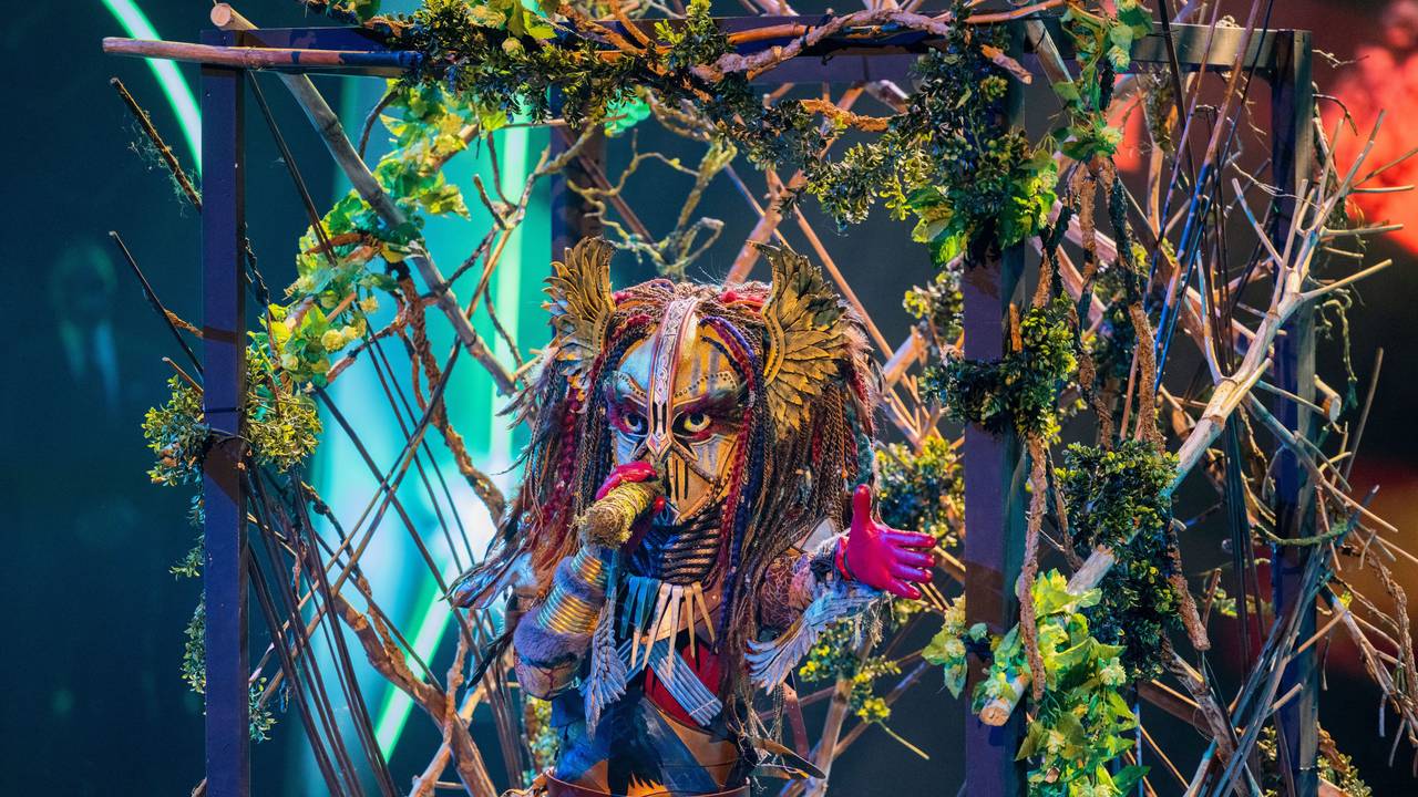 Die Heldin steht in der „ProSieben“-Show „The Masked Singer“ auf der Bühne.