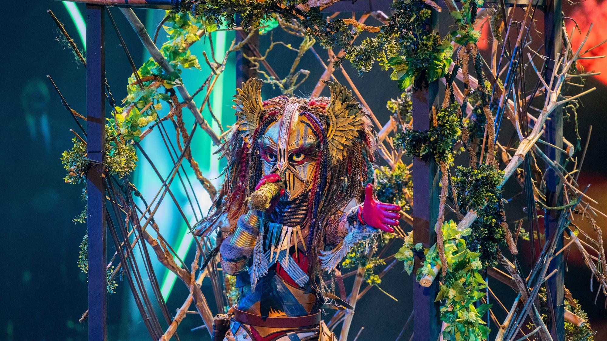 Die Heldin steht in der „ProSieben“-Show „The Masked Singer“ auf der Bühne.