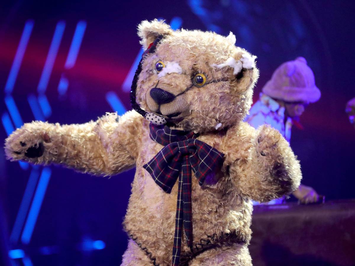 Der Teddy bei seinem Auftritt bei „The Masked Singer“ am Samstag (6. November)