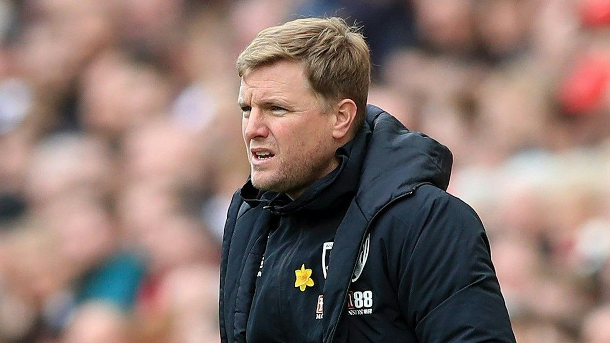 Eddie Howe, Trainer von Bournemouth, reagiert an der Seitenlinie.