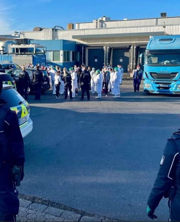 Kölner Zoll mit Großkontrolle in der Fleischwirtschaft