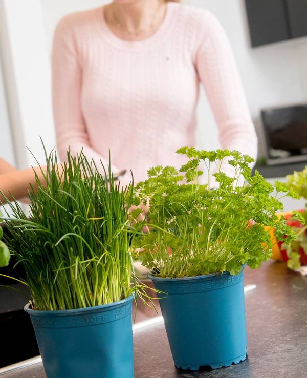 Zum Themendienst-Bericht vom 14. Juli 2020: Frische Kräuter sorgen für Abwechslung - manche sollte man allerdings nicht mitkochen, sondern erst kurz vor dem Servieren drüberstreuen.