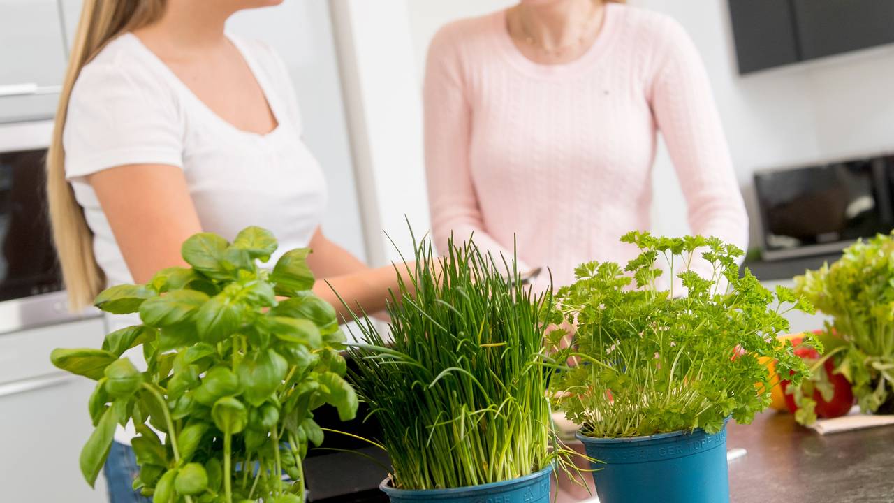 Zum Themendienst-Bericht vom 14. Juli 2020: Frische Kräuter sorgen für Abwechslung - manche sollte man allerdings nicht mitkochen, sondern erst kurz vor dem Servieren drüberstreuen.