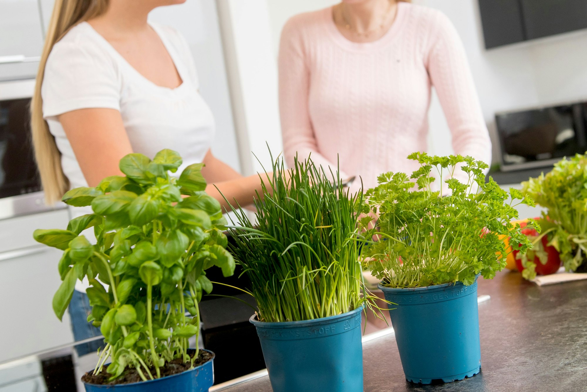 Zum Themendienst-Bericht vom 14. Juli 2020: Frische Kräuter sorgen für Abwechslung - manche sollte man allerdings nicht mitkochen, sondern erst kurz vor dem Servieren drüberstreuen.