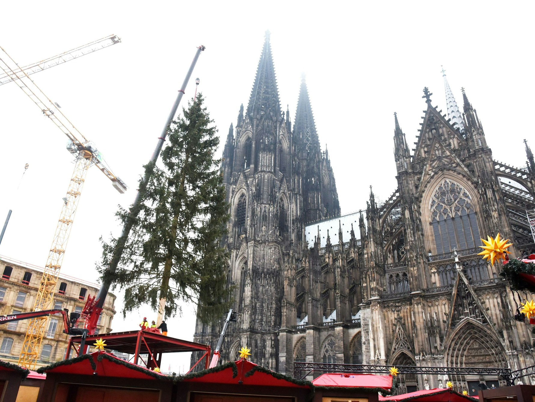 Auf dem Roncalliplatz wird der Weihnachtsbaum für den Weihnachtsmarkt 2021 aufgestellt.