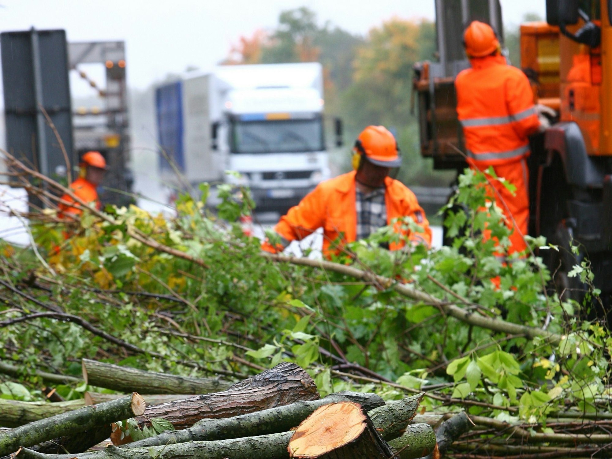 Mitarbeiter des Landesbetriebes Straßenbau und Verkehr verladen abgeschnittene Äste an der Autobahn A210.