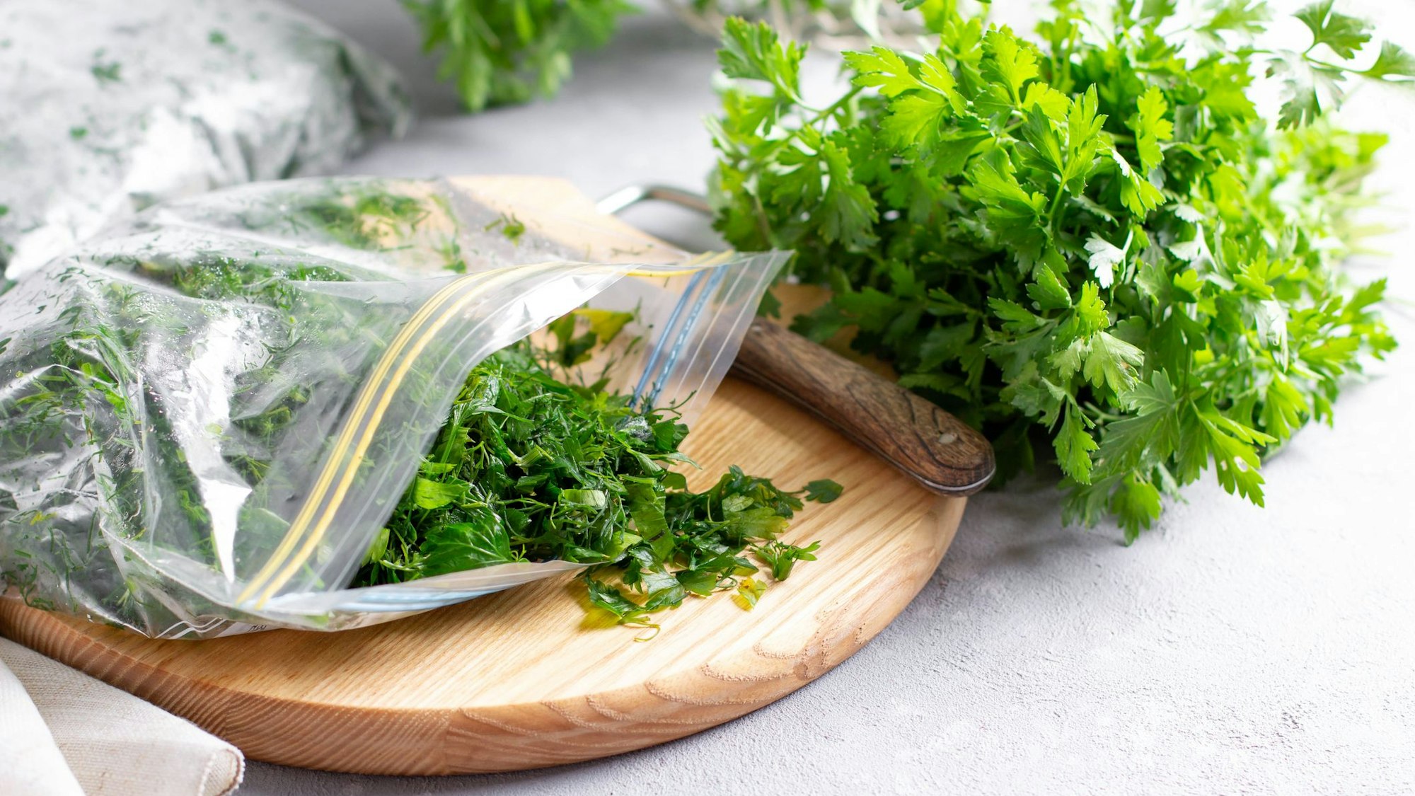 Frische Petersilie hält sich nach der Ernte nicht lange. Doch mit der richtigen Methode lässt sie sich haltbar machen.
