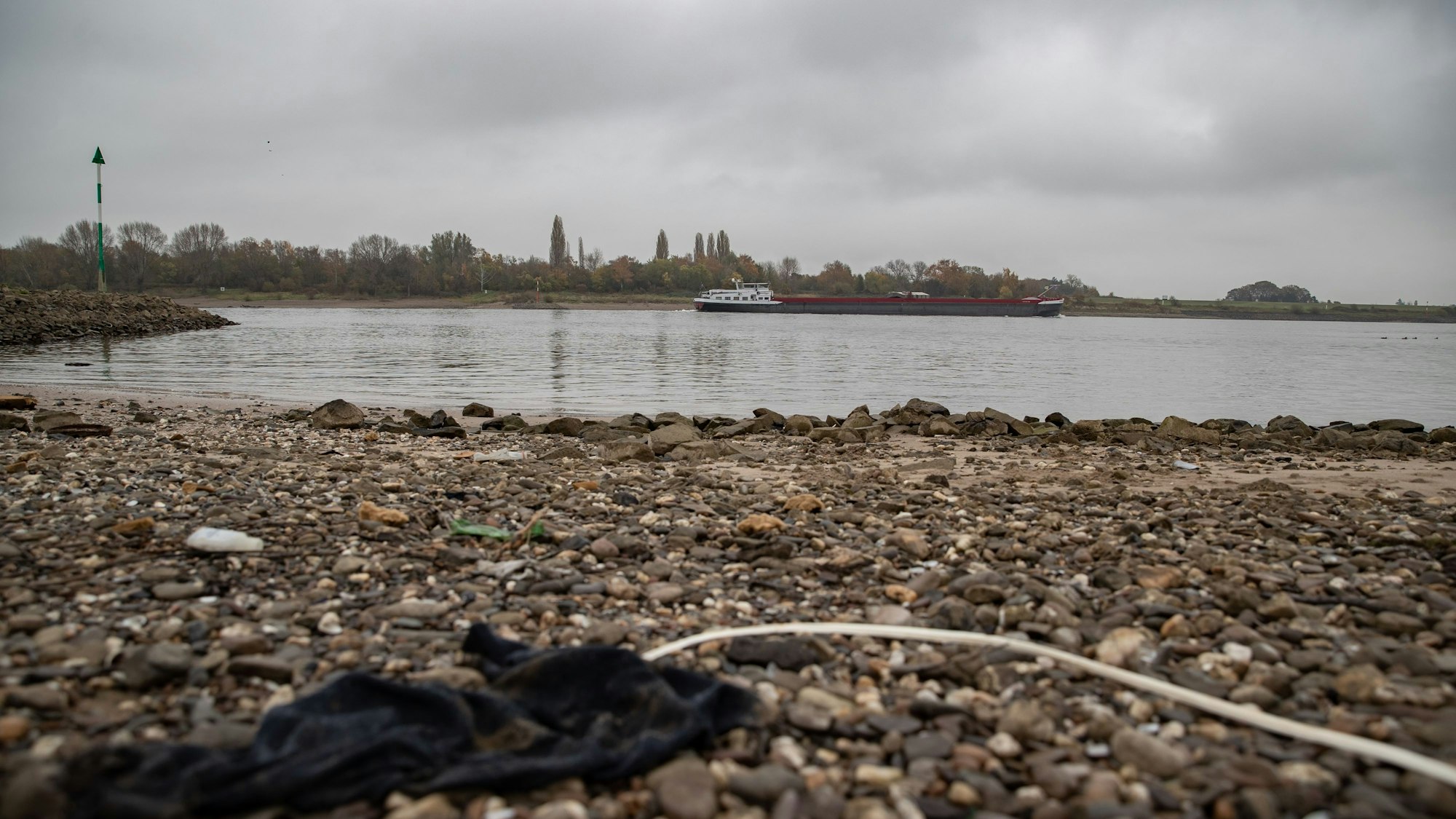 Das Rheinufer in Köln-Worringen