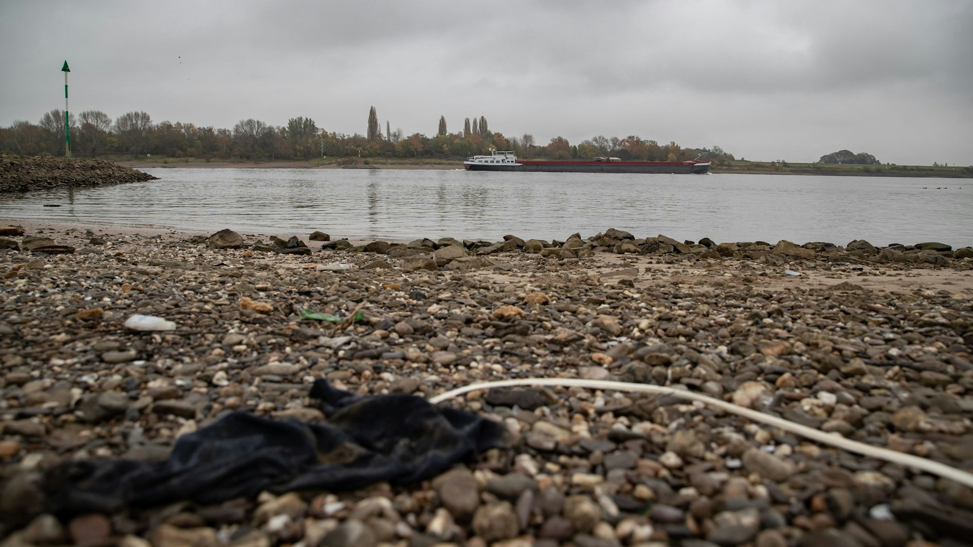 Das Rheinufer in Köln-Worringen.