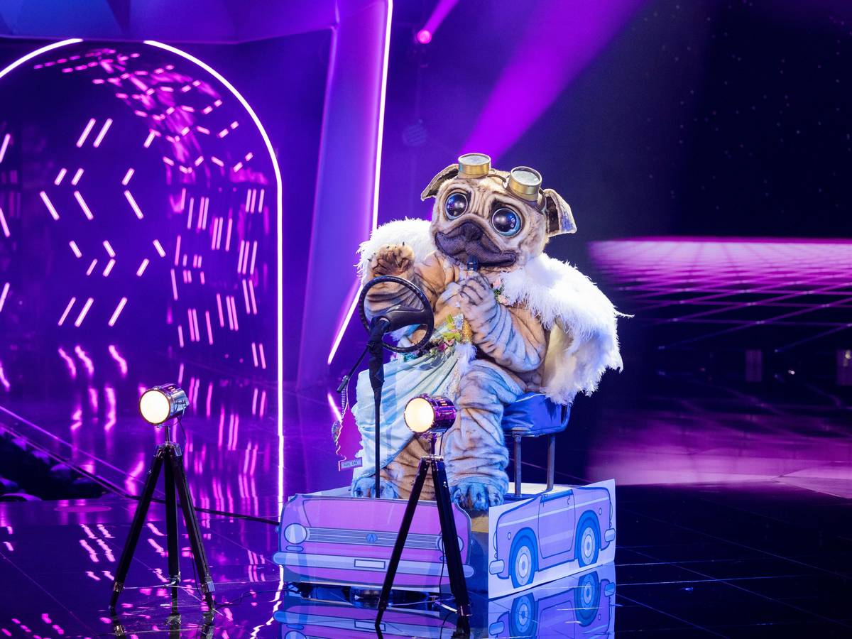 13.11.2021, Nordrhein-Westfalen, Köln: Die Figur Der Mops steht in der „ProSieben“-Show „The Masked Singer“ auf der Bühne.