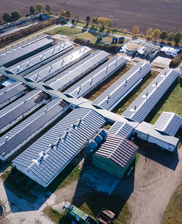 Die Sauenzuchtanlage der Schweineproduktion Kodersdorf, in der 2017 die Schweinepest ausgebrochen war.