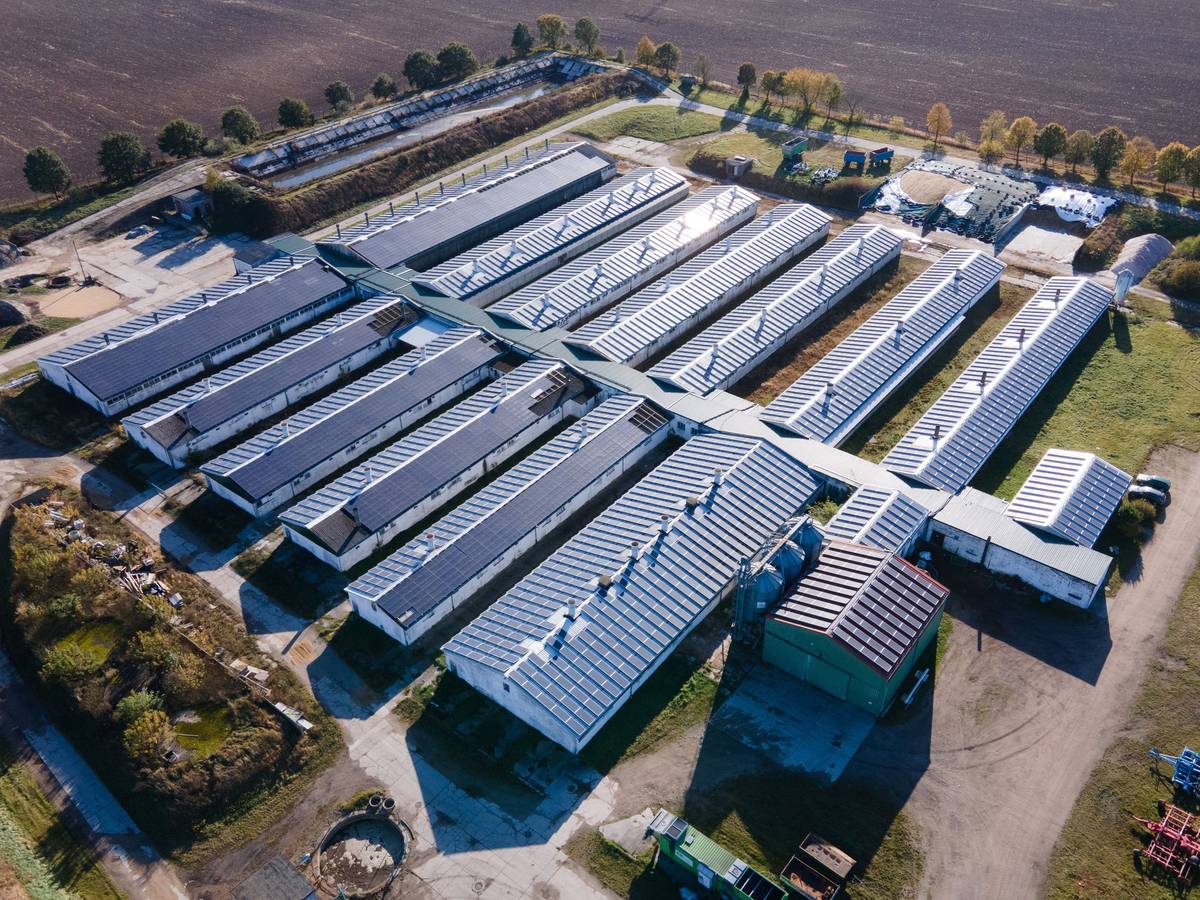 Die Sauenzuchtanlage der Schweineproduktion Kodersdorf, in der 2017 die Schweinepest ausgebrochen war.