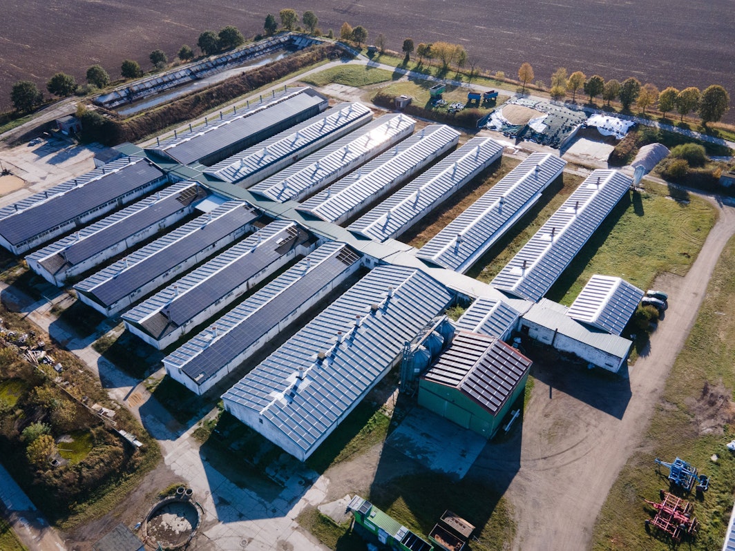 Die Sauenzuchtanlage der Schweineproduktion Kodersdorf, in der 2017 die Schweinepest ausgebrochen war.