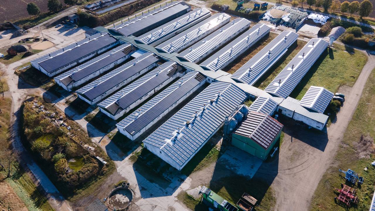 Die Sauenzuchtanlage der Schweineproduktion Kodersdorf, in der 2017 die Schweinepest ausgebrochen war.