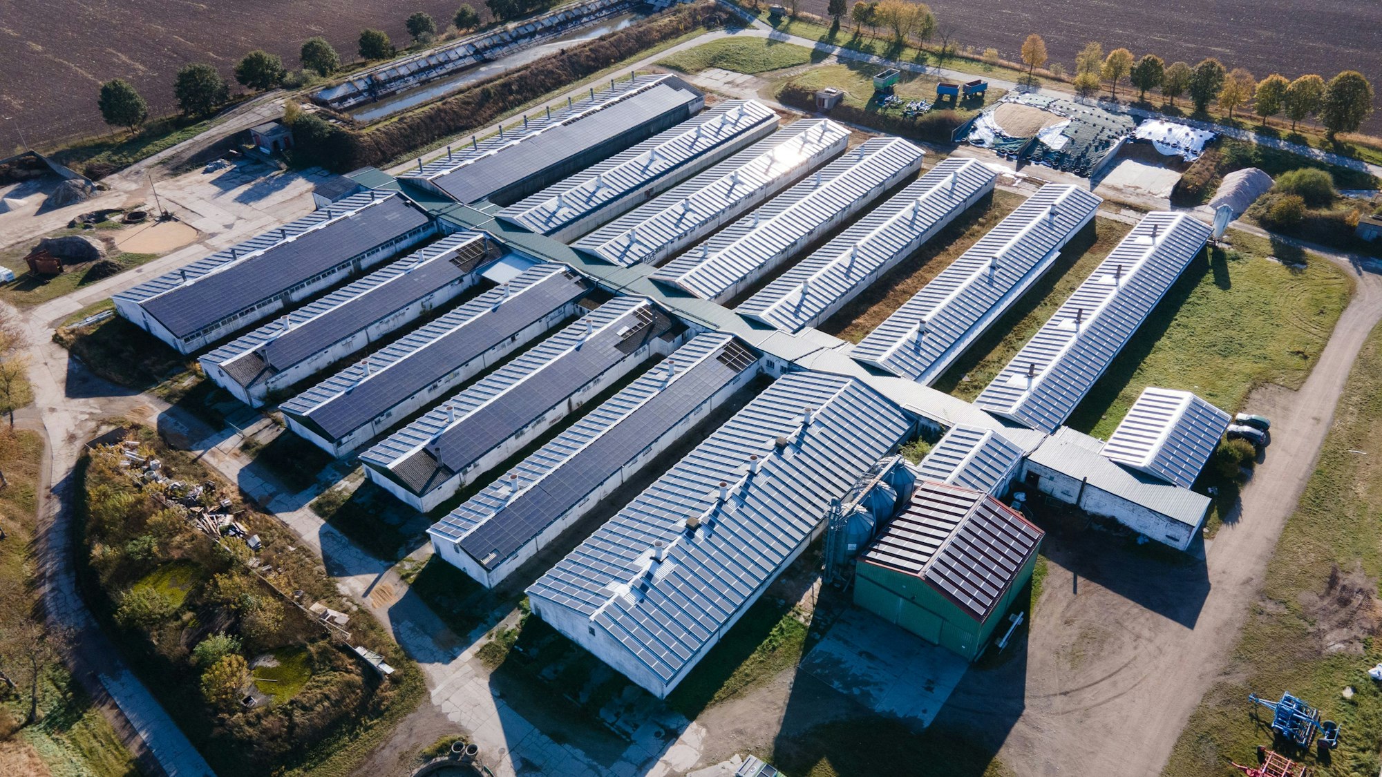 Die Sauenzuchtanlage der Schweineproduktion Kodersdorf, in der 2017 die Schweinepest ausgebrochen war.