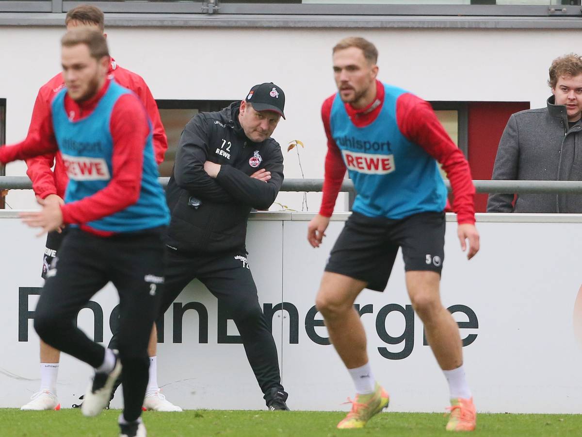 Steffen Baumgart im Training des 1. FC Köln.
