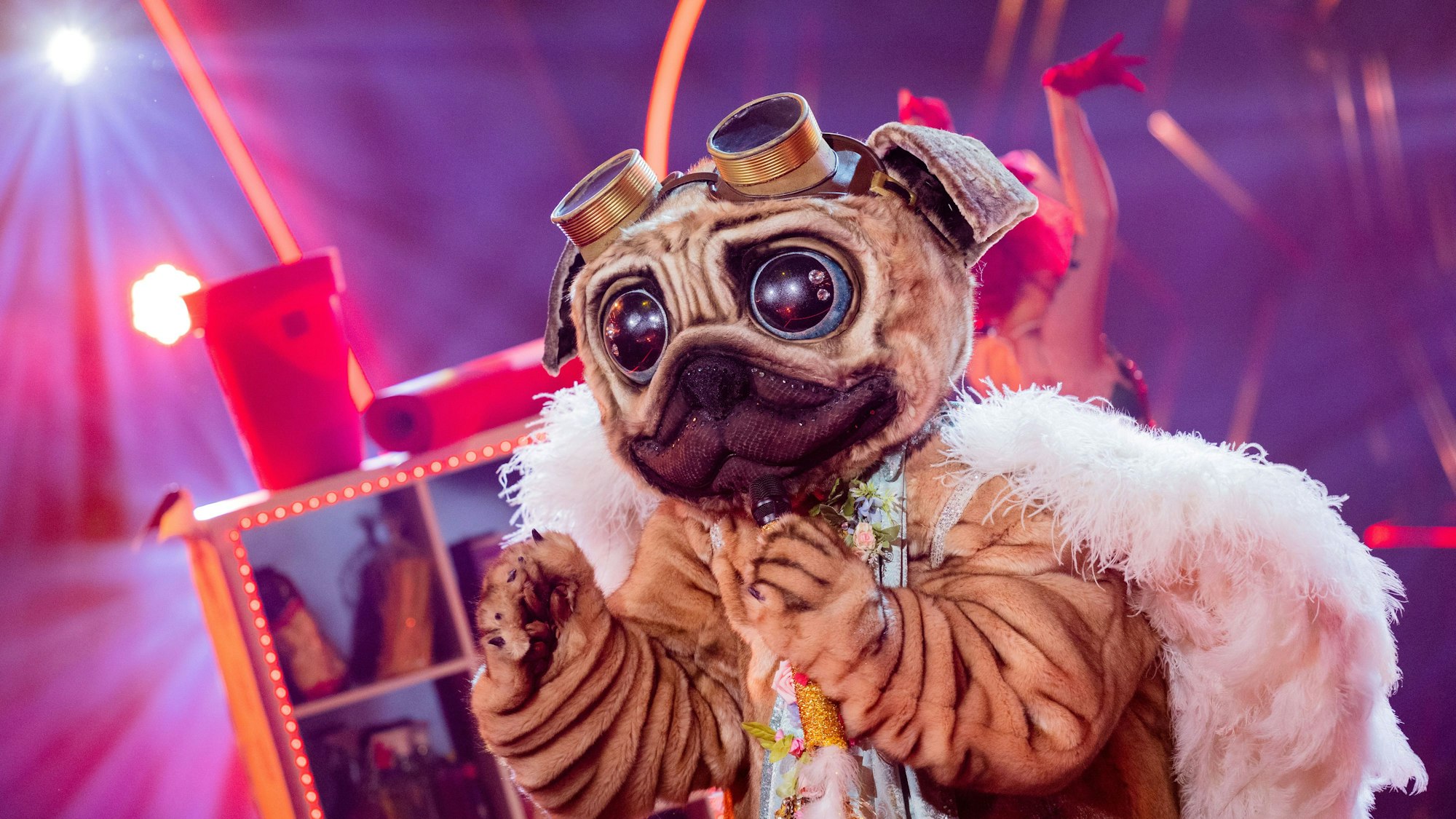 Der Mops steht in der ProSieben-Show „The Masked Singer“ auf der Bühne.