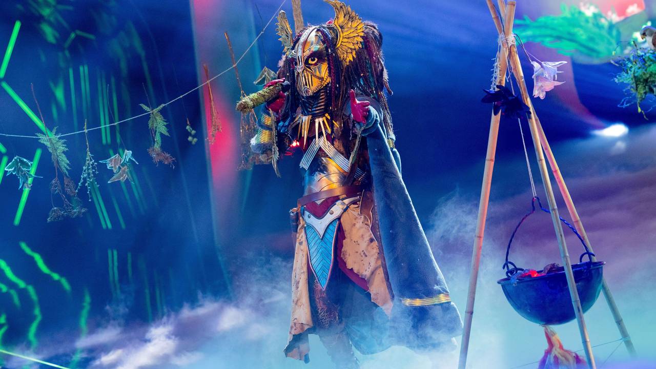 Die Heldin steht in der ProSieben-Show „The Masked Singer“ auf der Bühne.