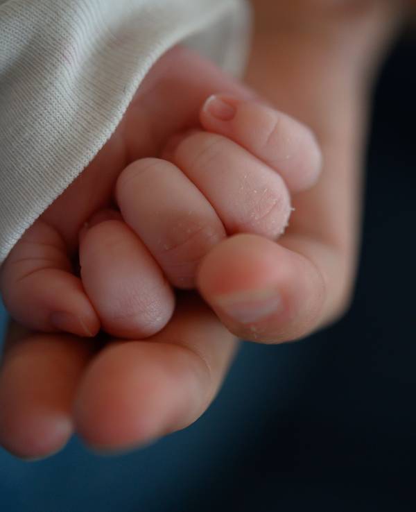 Die Hand eines Babys liegt in der Hand einer erwachsenen Person.