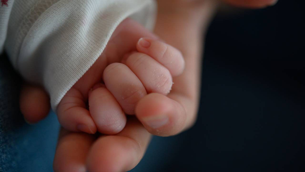 Die Hand eines Babys liegt in der Hand einer erwachsenen Person.