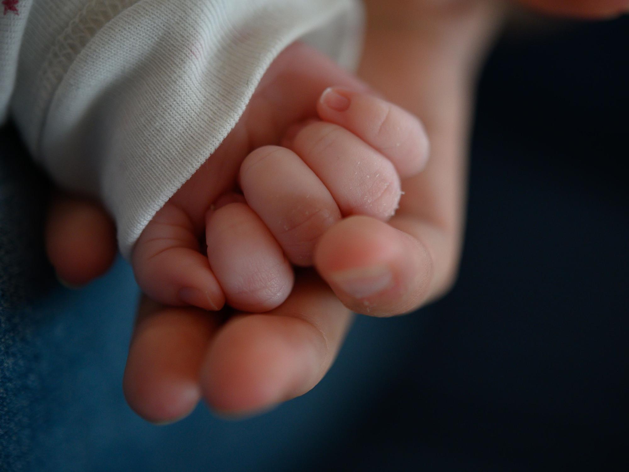 Die Hand eines Babys liegt in der Hand einer erwachsenen Person.