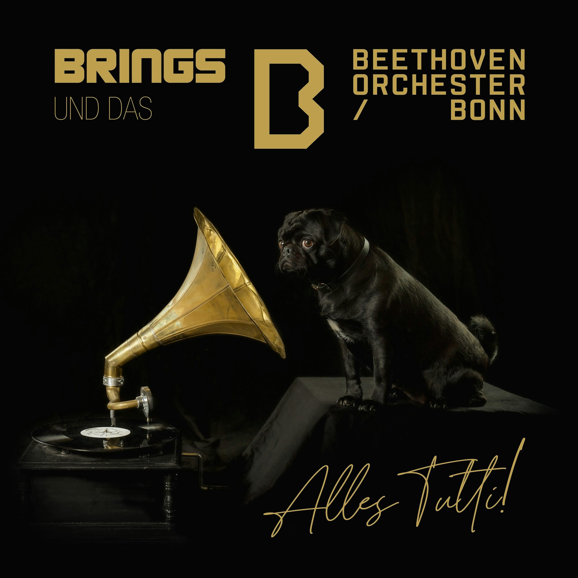 Das Album-Cover Alles tutti von Brings