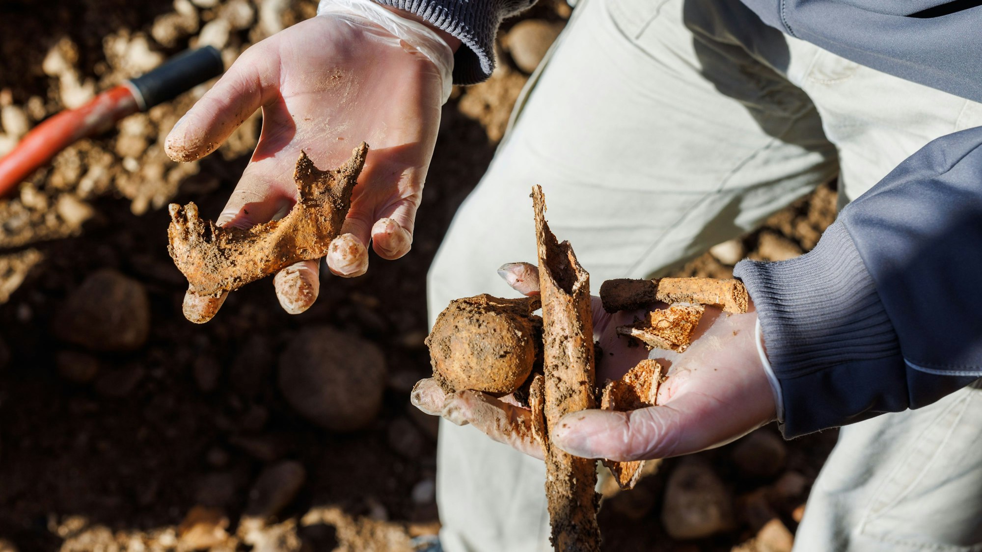 In Freiburg wurden 400 Skelette gefunden. Früher stand an dem Fundort ein Leprosenhaus. Auf dem Foto (aufgenommen am 8. November 2021) hält ein Archäologe mehrere menschliche Überreste ist der Hand.