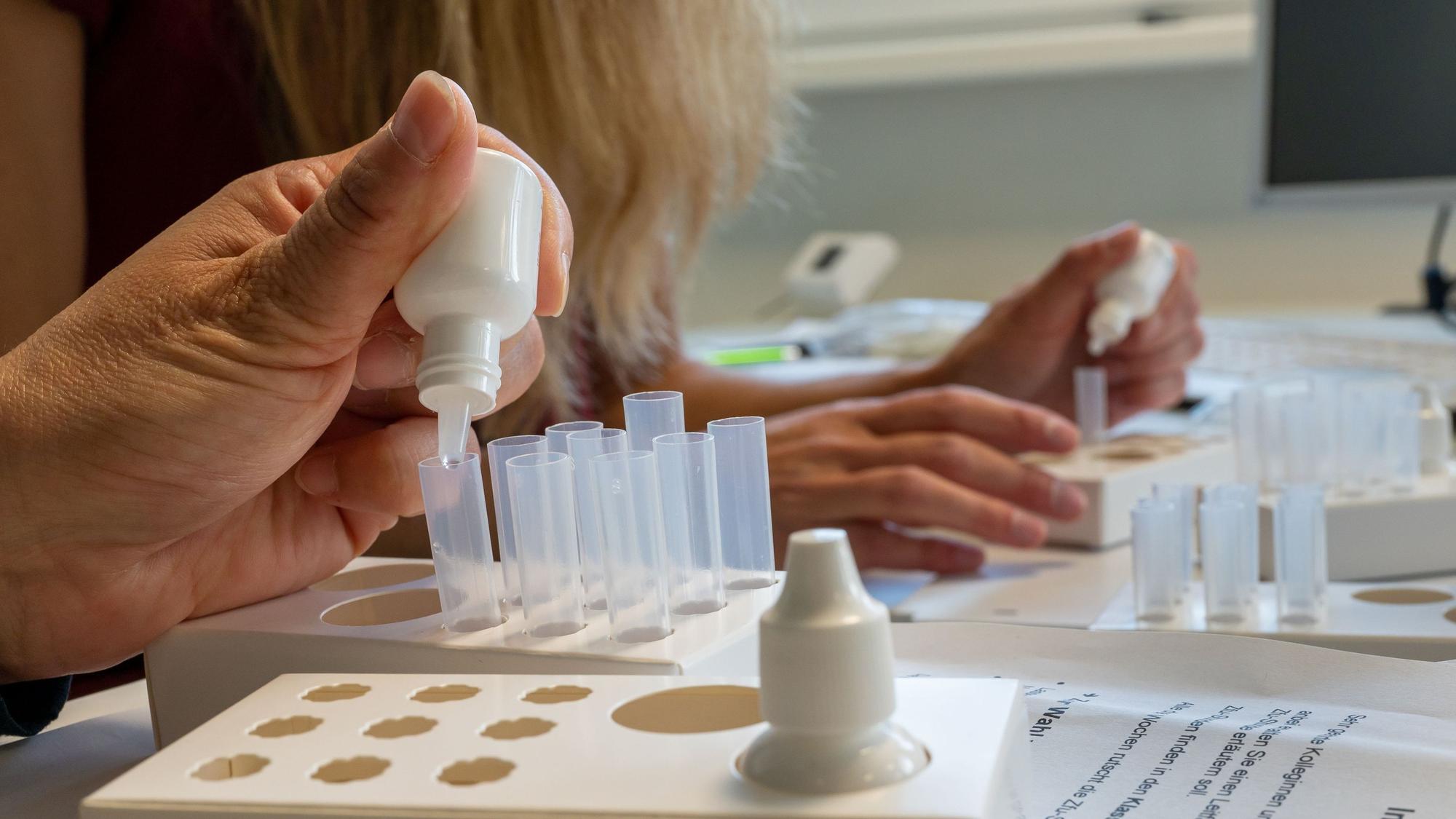 Lehrer bereiten am ersten Schultag nach den Sommerferien die Covid-19 Schnelltest vor Beginn des Unterricht vor.