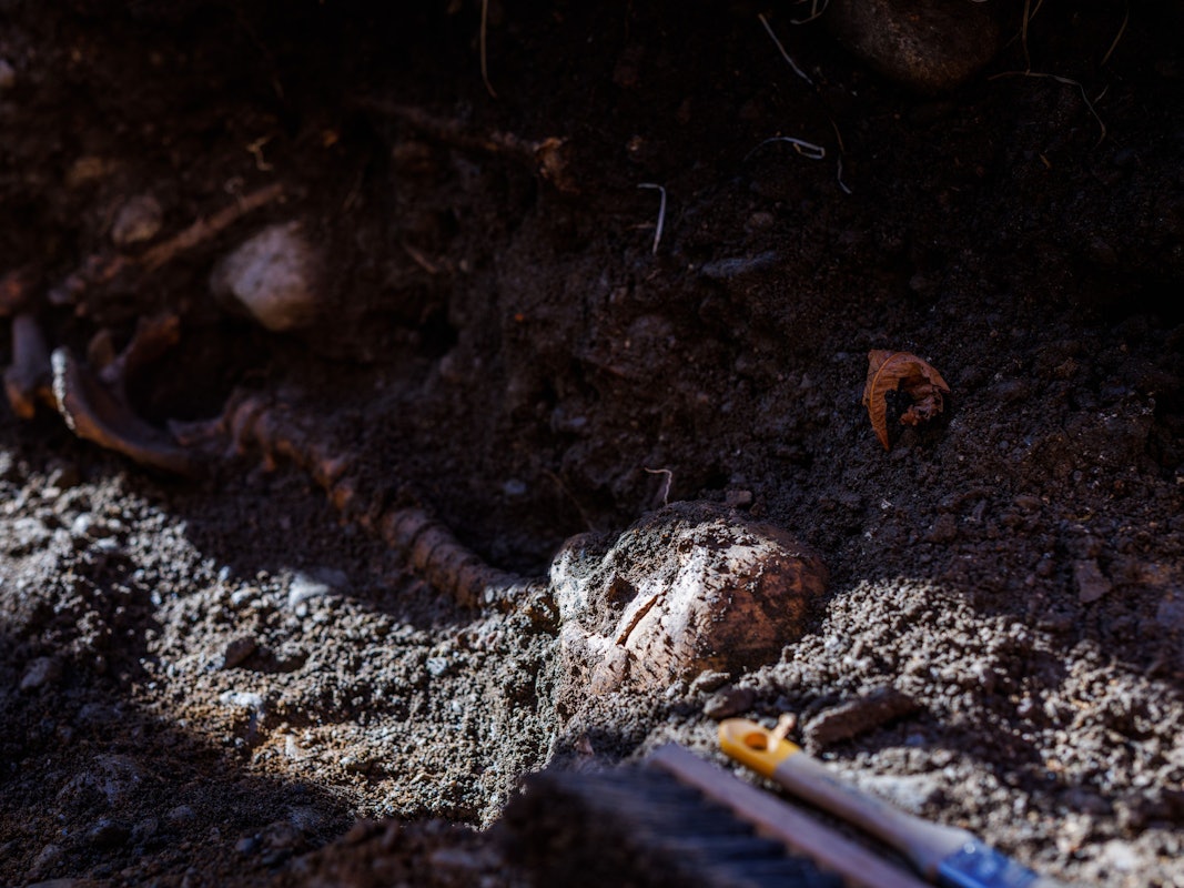 In Freiburg kam es zu ersten Erkenntnissen bei einem gruseligen Fund, der hochinteressante historische Einblicke verspricht. Auf dem Foto (aufgenommen am 8. November 2021 in Freiburg) sieht man menschliche Überreste, teilweise noch vergraben, auf dem Boden liegen.