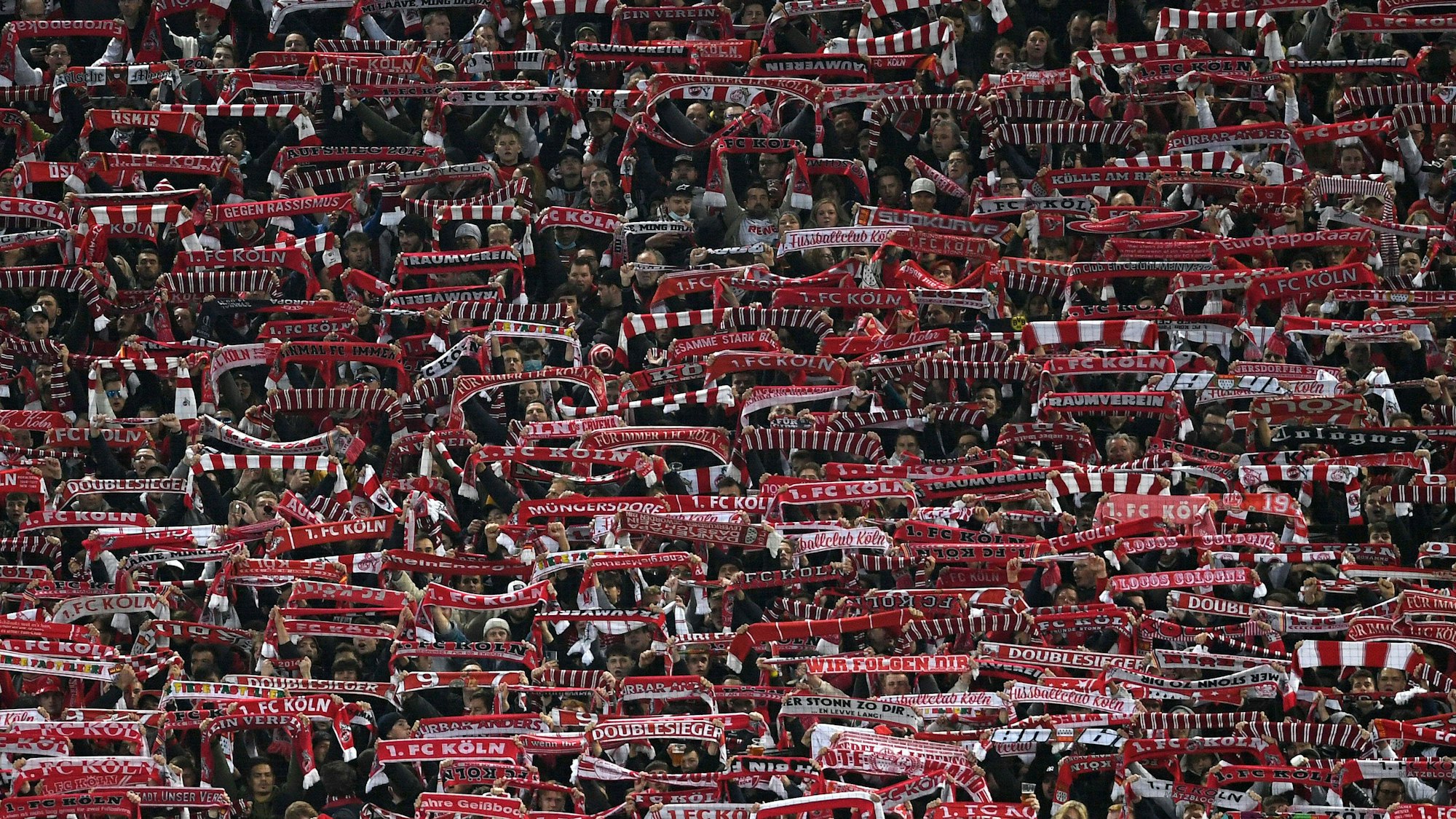 Blick in den Fan-Block des 1. FC Köln