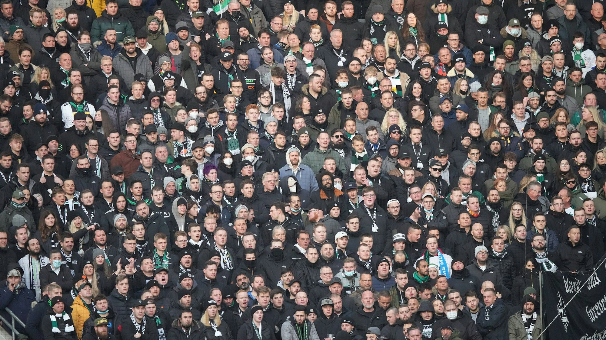 Fans von Borussia Mönchengladbach beim Spiel beim 1. FC Köln