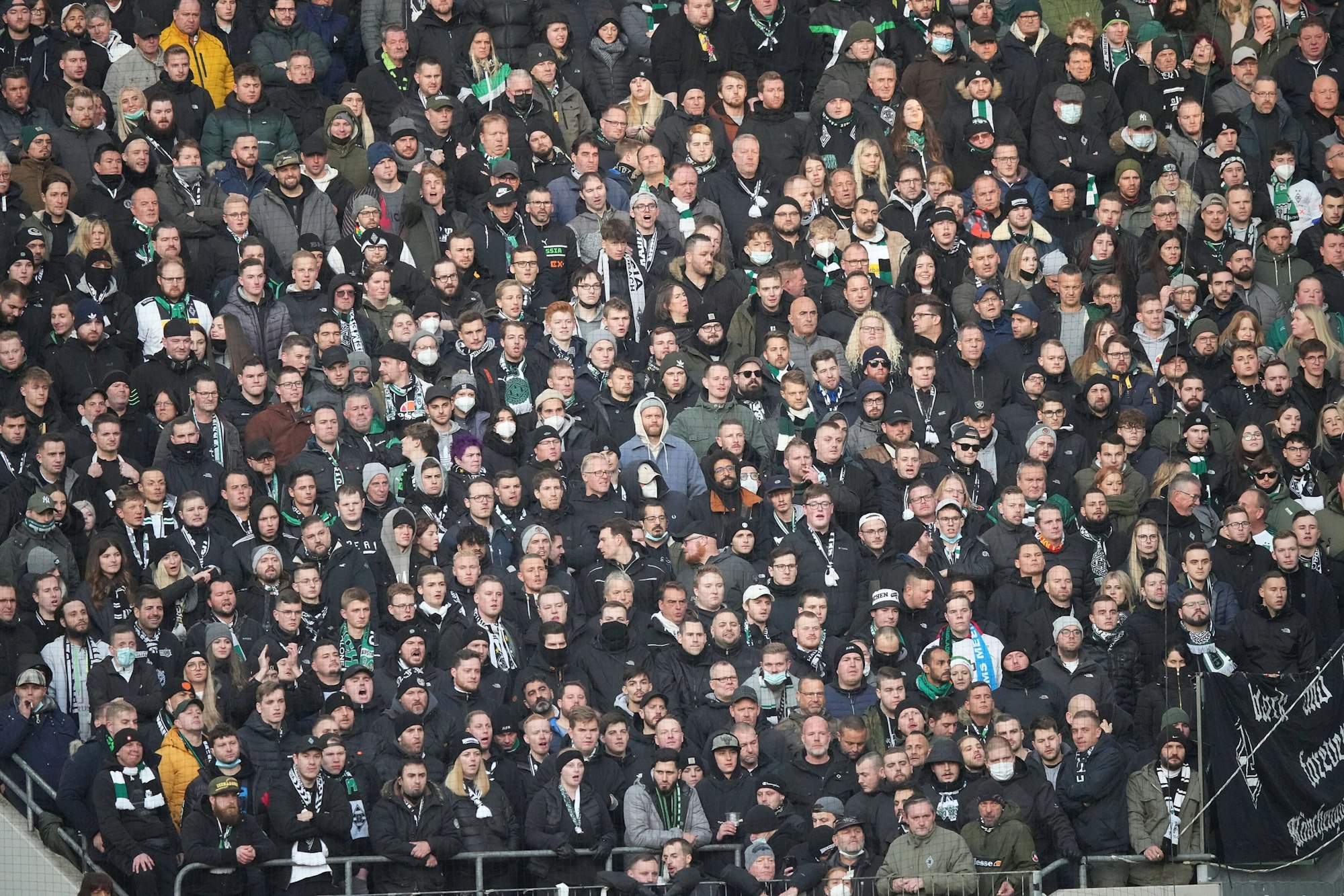 Fans von Borussia Mönchengladbach stehen im Kölner Stadion.